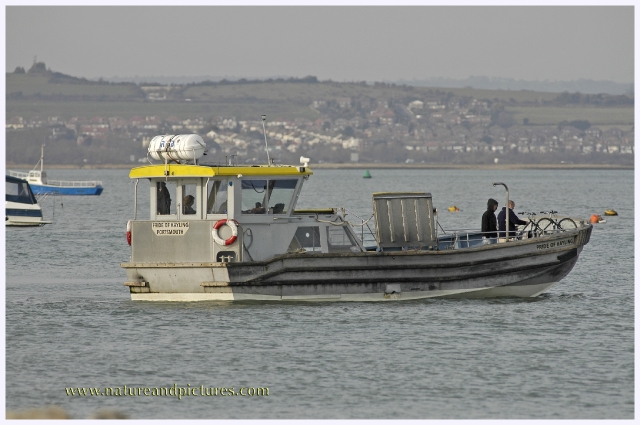 hayling island views landscape-035.jpg - HAYLING FOOT AND BIKE FERRY TO EASTNEY, PORTSMOUTH